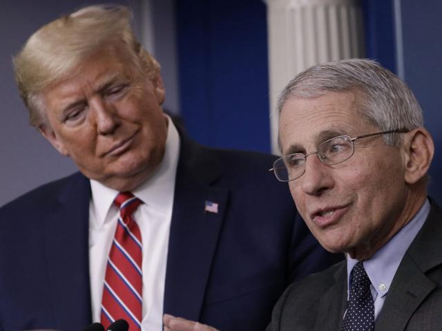 Thế giới - Chuyên gia hàng đầu Nhà Trắng cảnh báo 200.000 người Mỹ có thể chết vì Covid-19