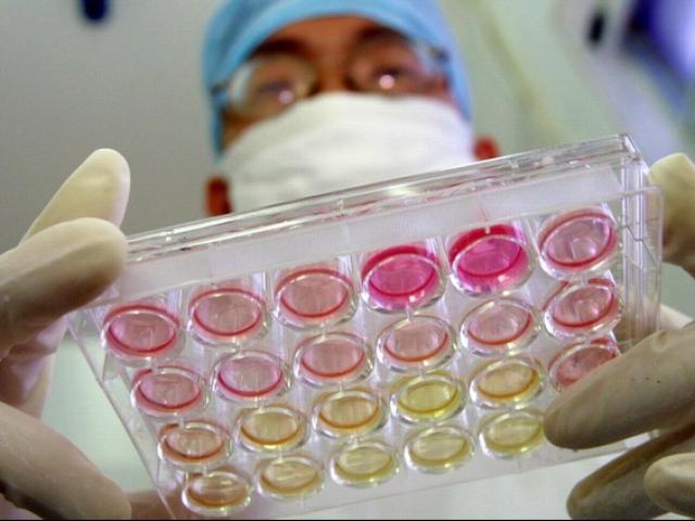 Thế giới - Virus SARS-CoV-2 có thể đã âm thầm tồn tại ở người từ hàng thập kỷ