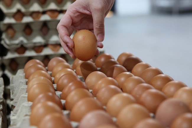 Doanh số bán trứng tăng 44% trong tuần kết thúc hôm 14/3/2020 so với một năm trước, đây là số liệu của Nielsen.