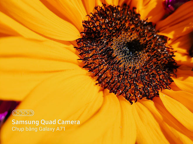 Người dùng nói gì về camera macro trên Galaxy A51 và A71? - 2