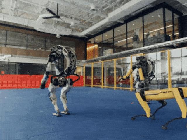 Media - Dàn robot nhảy múa, uốn lượn đầy cảm hứng đón năm mới