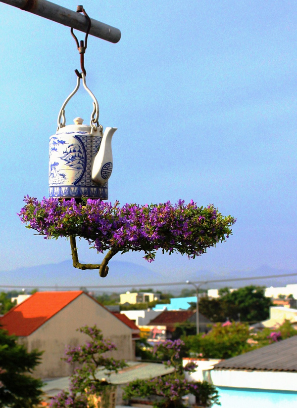 Mua cây “rẻ tiền” về trồng “ngược”, khách trả cả chục triệu vẫn không bán - 3