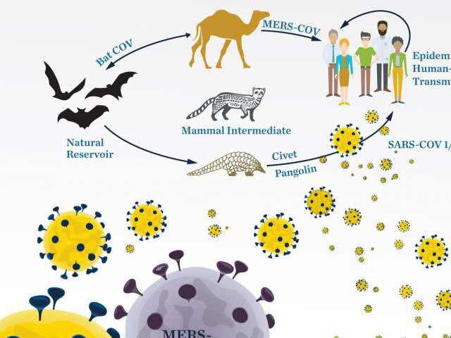 Sức khỏe đời sống - Phát hiện mới: Các sản phẩm tự nhiên có thể chống lại virus gây chết người như SARS-CoV-2