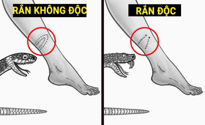 11 kỹ năng sinh tồn ai cũng cần biết để thoát khỏi tình huống nguy cấp - 12