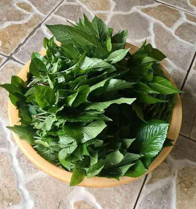 Lá xuyến chi non rửa sơ rồi vò nhẹ