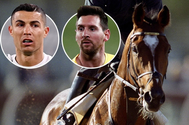 Chú ngựa Galileo đắt giá hơn Ronaldo, Messi và kiếm tiền cũng dễ dàng hơn