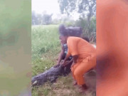 Media - Nữ du khách &quot;cả gan&quot; sờ vào người cá sấu và cái kết kinh hoàng
