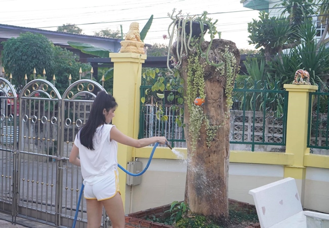 Cô đào cũng khéo léo khoe một góc không gian sống qua loạt ảnh tưới cây khi rảnh rỗi không đi diễn.
