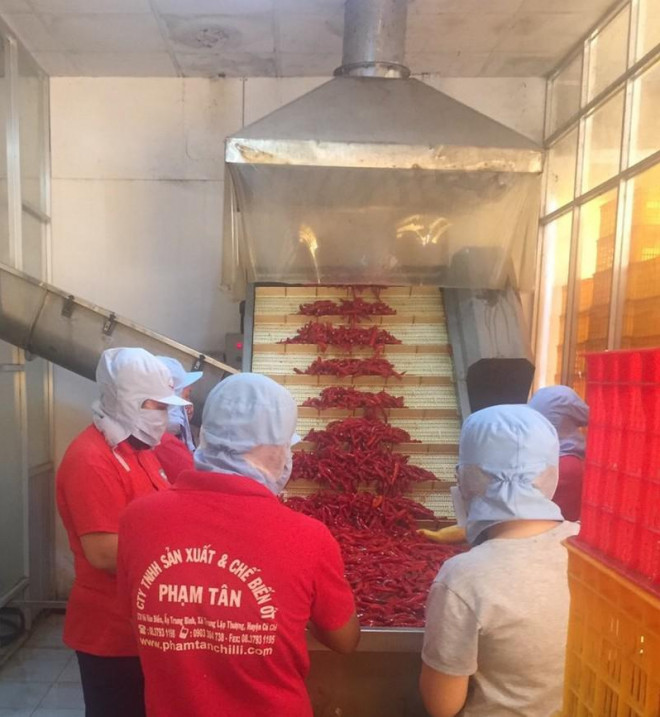 Dịch COVID-19 khiến đơn hàng xuất khẩu ớt xay, ớt chế biến sang một số quốc gia giảm 50%.&nbsp;