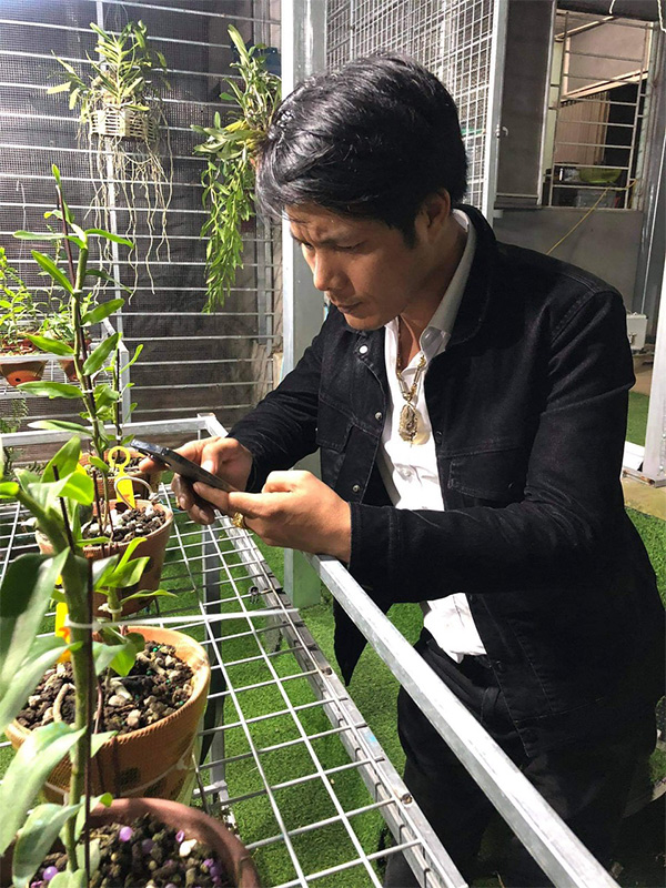 Nam Nguyễn và niềm đam mê đặc biệt với hoa lan - 6