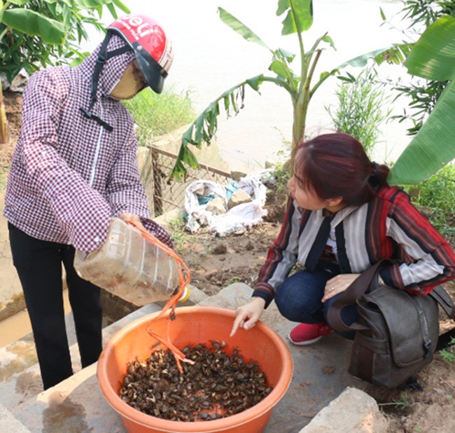 Cáy sống chủ yếu ở các bờ ruộng, bờ sông, bờ kênh mương, nắng càng to thì cáy bò ra đi tìm thức ăn càng nhiều.
