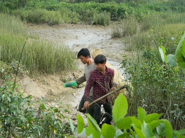 Việc bắt cáy không dễ vì chúng lẩn rất nhanh. Hễ biết có động là cáy vào hang ngay đẻ trú ẩn, nên người ta vẫn nói "nhát như cáy".
