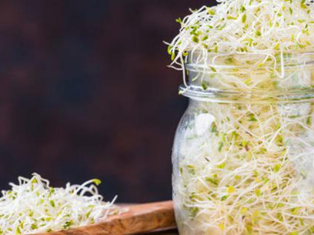 Ẩm thực - Dù thích đến đâu cũng đừng ăn sống 9 thực phẩm quen thuộc này, bạn có thể tử vong lúc nào