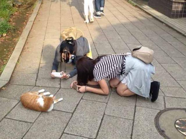 Tranh vui - Hành động khó đỡ của các cô nàng khiến người xem cười té ghế