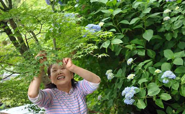 Chỉ mất khoảng 2 năm, Yokoishi đã trở thành “ông lớn” tiên phong trong lĩnh vực bán lá cây trang trí món ăn cho rất nhiều nhà hàng nổi tiếng tại Nhật.
