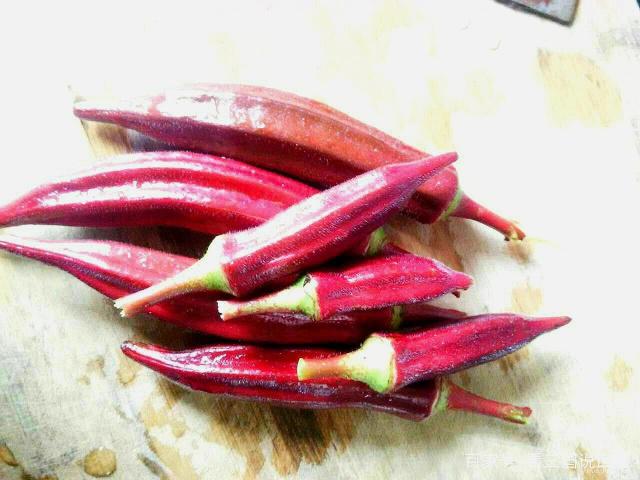 Lạ lùng đậu bắp có màu… máu, giá gần 300 nghìn/kg, ở Việt Nam chỉ mua được hạt giống - 3