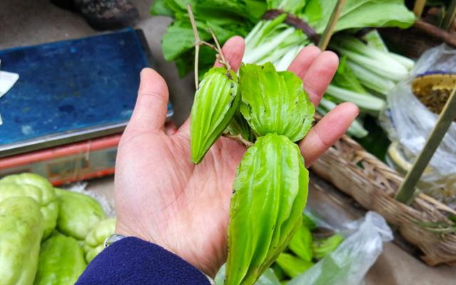 Quả “mướp đắng lai đậu rồng”, không tốn công trồng mà giá gần trăm nghìn/kg - 1