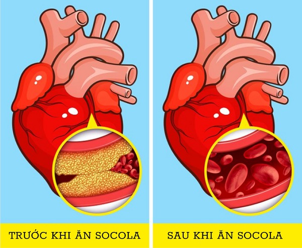 Tại sao chúng ta nên bắt đầu ăn socola vào buổi sáng? - 5