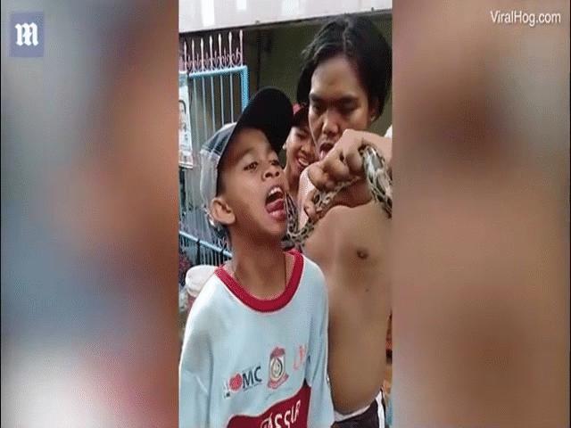 Phi thường - kỳ quặc - Video: "Nghịch dại" với trăn khủng, cậu bé Indonesia suýt bị đớp mất lưỡi