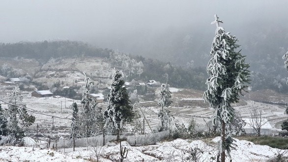 Mưa tuyết rơi phủ trắng ở Y Tý (huyện Bát Xát, Lào Cai) sáng 11/1. Ảnh: Lý Xá Xuy.