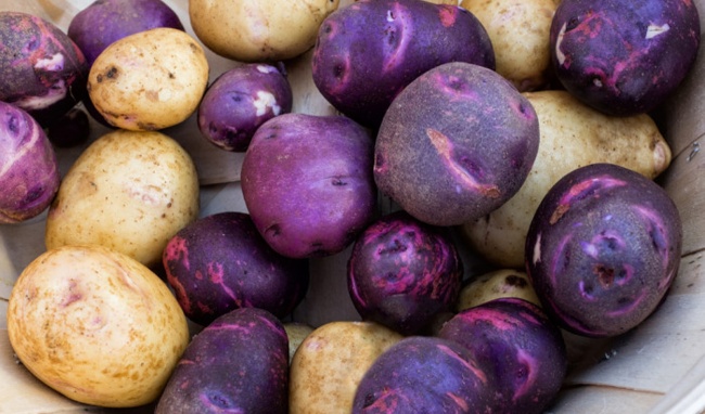 7 lợi ích tuyệt vời của khoai tây, ai biết cũng muốn ăn càng nhiều càng tốt - 2