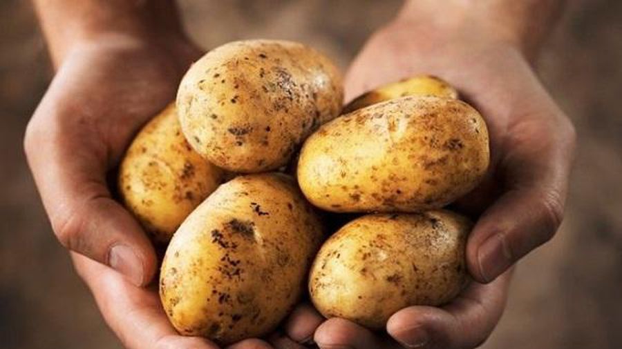7 lợi ích tuyệt vời của khoai tây, ai biết cũng muốn ăn càng nhiều càng tốt - 6