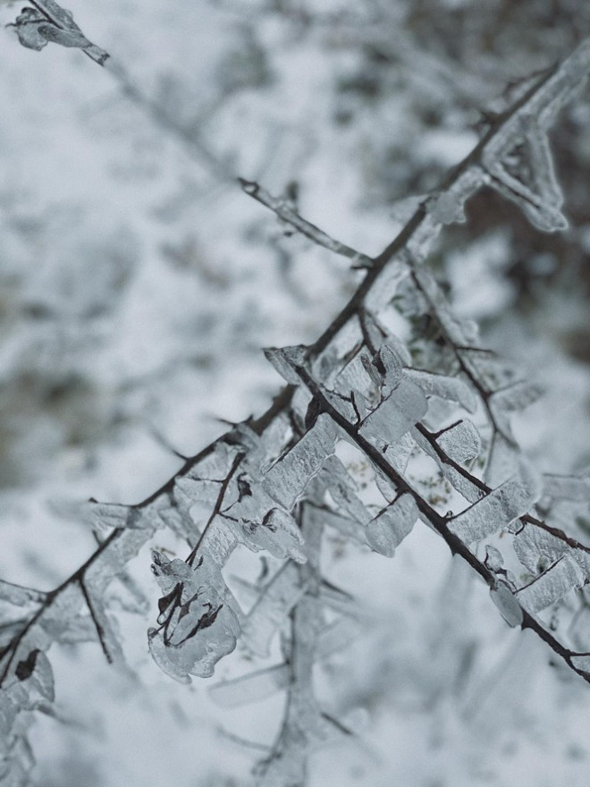 Y Tý, Sa Pa những ngày tuyết mùa Đông: Đẹp như lạc vào thế giới cổ tích của Frozen - 6