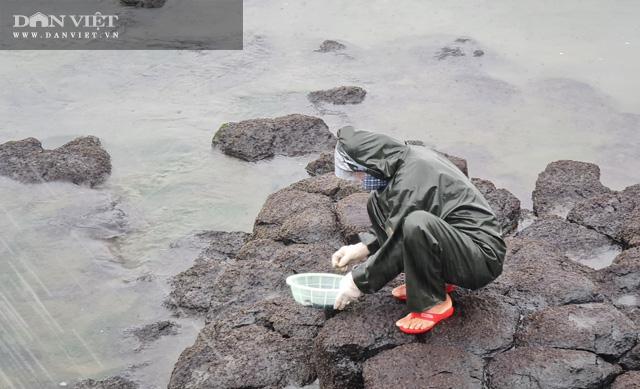 Khu vực rau mứt biển là ghềnh đá trơn trượt.