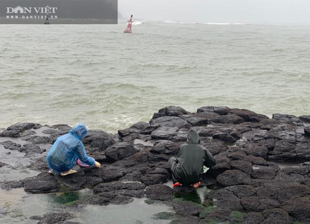 Tùy thuộc vào nơi hái, năm có ít hay nhiều mà lượng rau thu hoạch của từng người khác nhau.