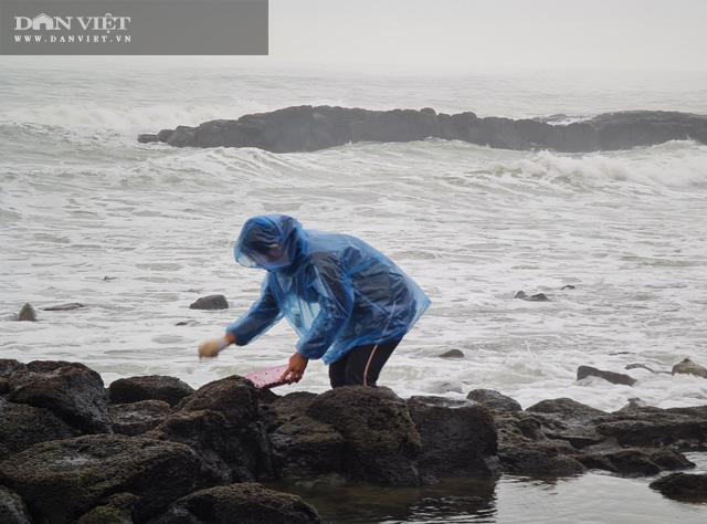 Quảng Ngãi: Rét buốt căm căm, dân rủ nhau leo ghềnh đá hái thứ rau nhơn nhớt ăn ngon tuyệt lại đại bổ - 7