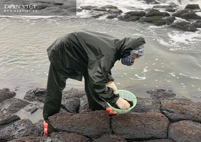 Quảng Ngãi: Rét buốt căm căm, dân rủ nhau leo ghềnh đá hái thứ rau nhơn nhớt ăn ngon tuyệt lại đại bổ - 9