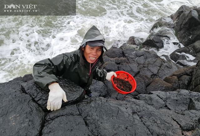 Quảng Ngãi: Rét buốt căm căm, dân rủ nhau leo ghềnh đá hái thứ rau nhơn nhớt ăn ngon tuyệt lại đại bổ - 10
