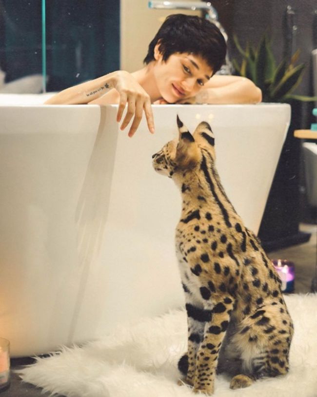Bảo Anh khéo léo chơi đùa cùng thú cưng bên bồn tắm. Tuy nhiên, vì đã che gần hết cơ thể nên nữ ca sĩ không được gợi cảm như những mỹ nhân khác.
