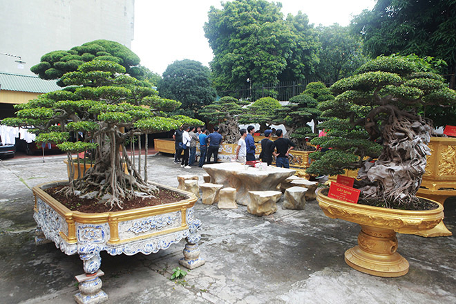 Hàng ngày, rất nhiều&nbsp;người yêu cảnh cảnh trong và ngoài nước đến thăm quan. Chủ nhân cho biết, có ngày tiếp khách từ 7h sáng đến 22h đêm