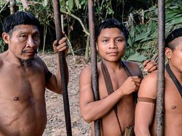 Du lịch - Bimbos – Tộc người bí ẩn nhất thế giới