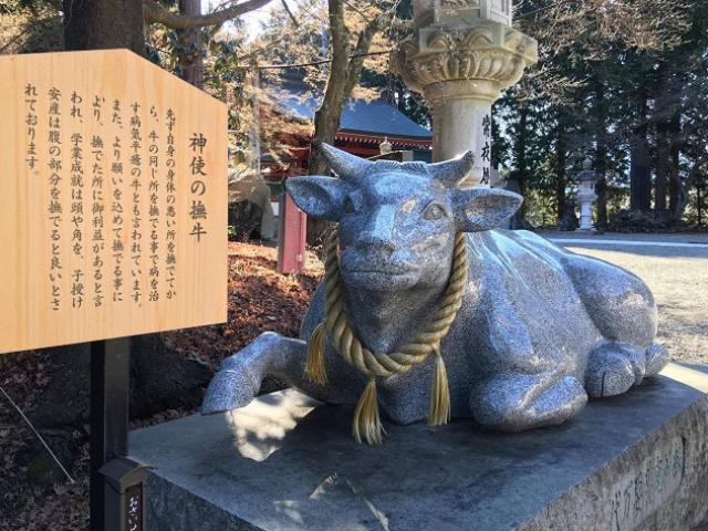 Thế giới - Con trâu trở thành vật thiêng được tôn thờ ở Nhật Bản như thế nào?