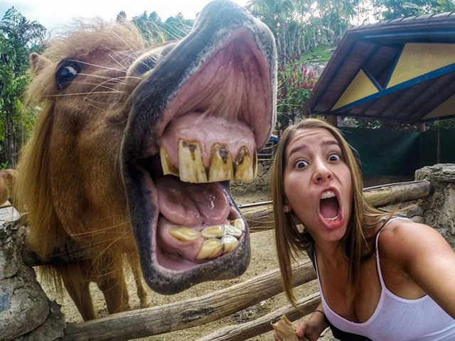 Tranh vui - Những hình ảnh "oái oăm" khiến ai cũng phải cười ngả nghiêng