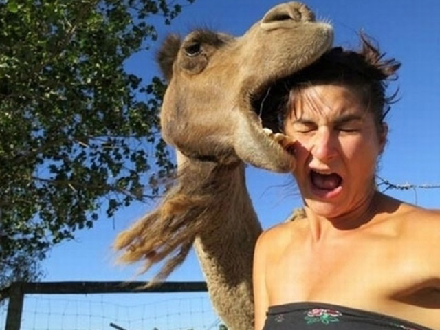 Tranh vui - Hài hước khoảnh khắc động vật "phá đám" các bức ảnh sống ảo