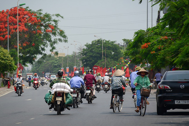 Hải Phòng: Không chỉ là một cảng công nghiệp, Hải Phòng còn nổi tiếng với những cây hoa phượng đẹp trải dọc các con phố.
