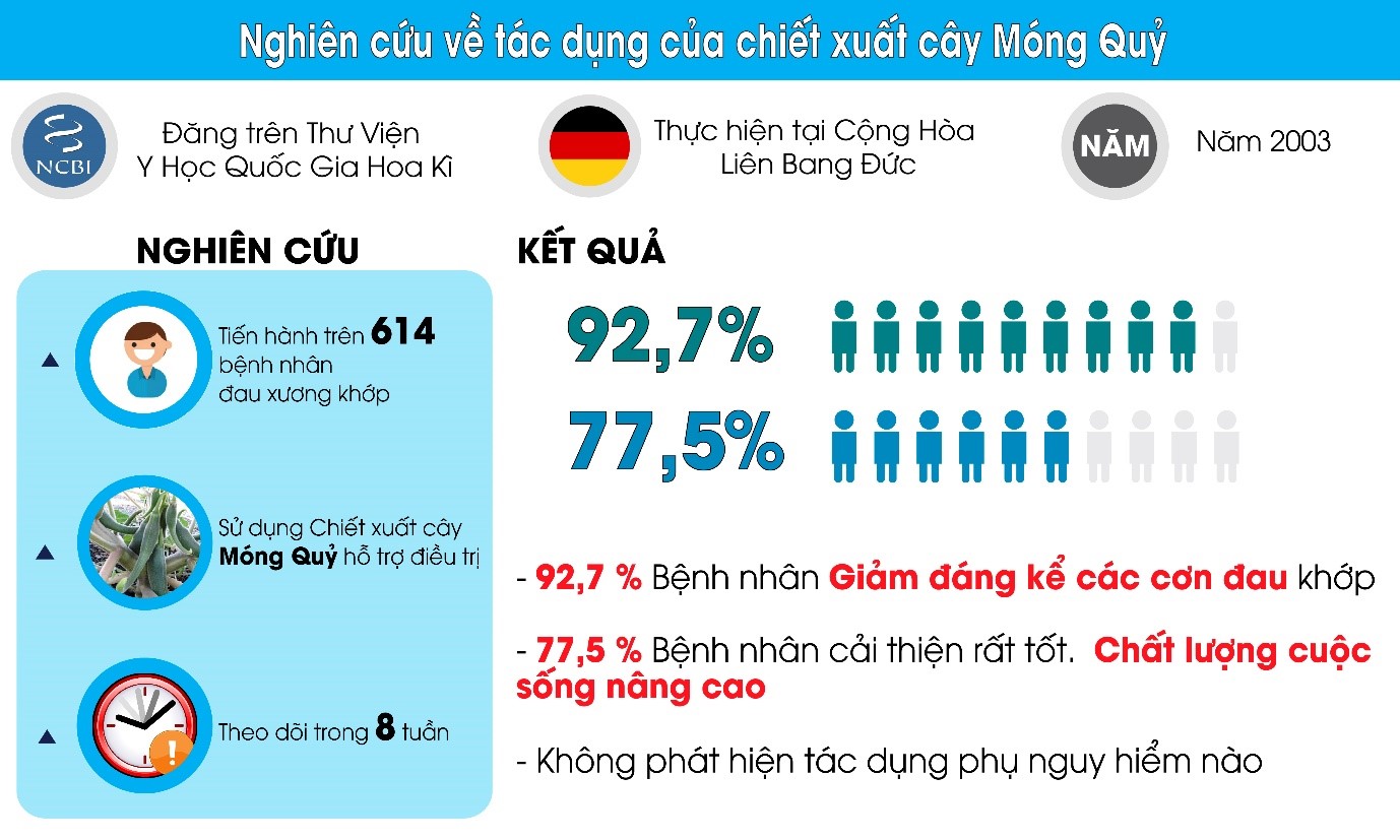 Bất ngờ với thứ lá Châu Âu giúp "giảm đau xương khớp" nhanh chóng - 3