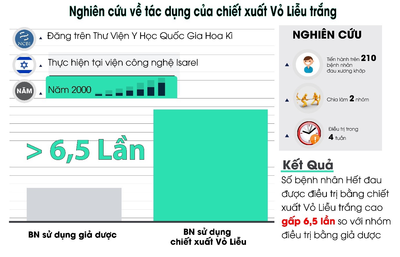 Bất ngờ với thứ lá Châu Âu giúp "giảm đau xương khớp" nhanh chóng - 4