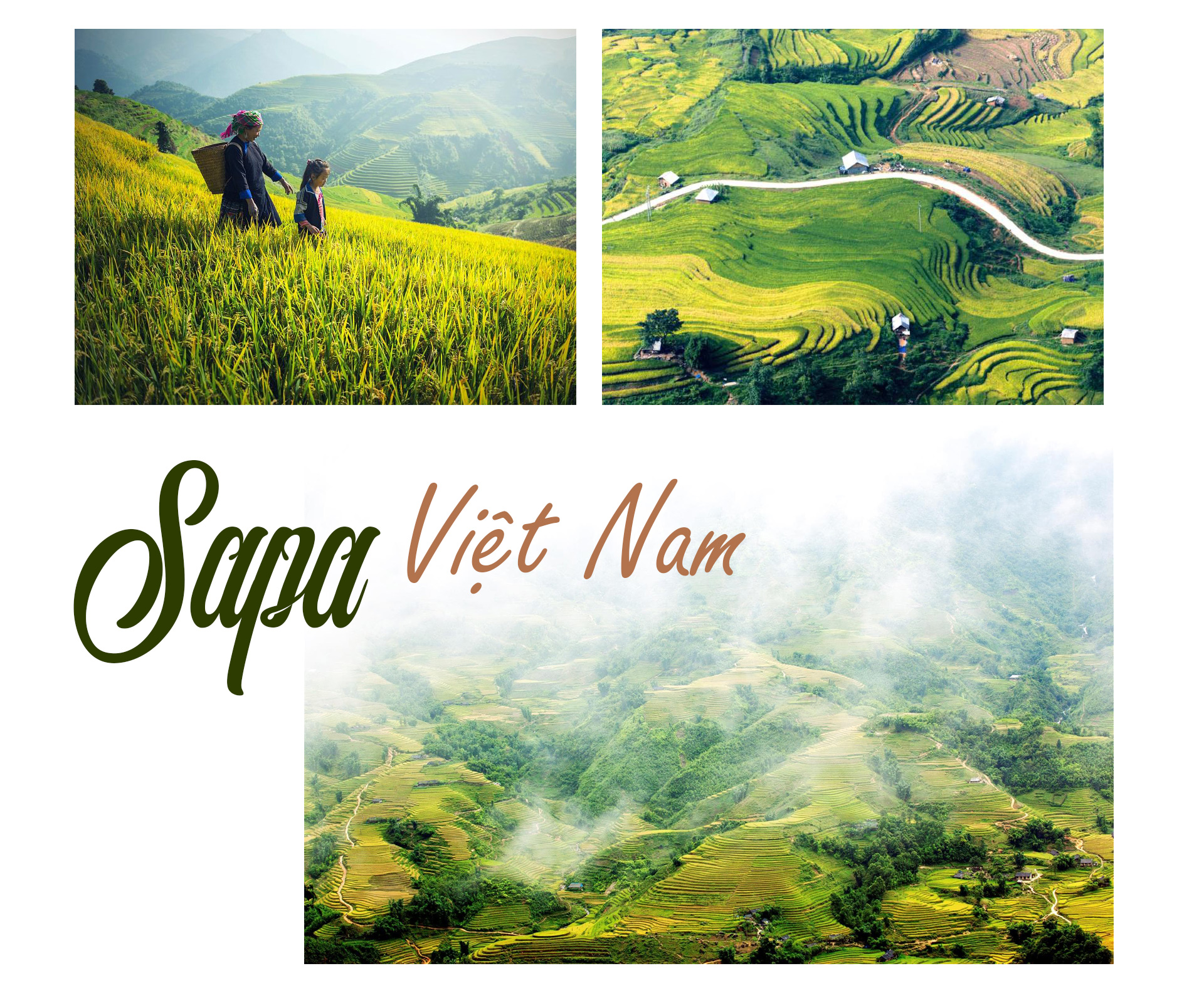 Việt Nam có tới 2 điểm đến lọt top những ruộng bậc thang đẹp nhất hành tinh - 2