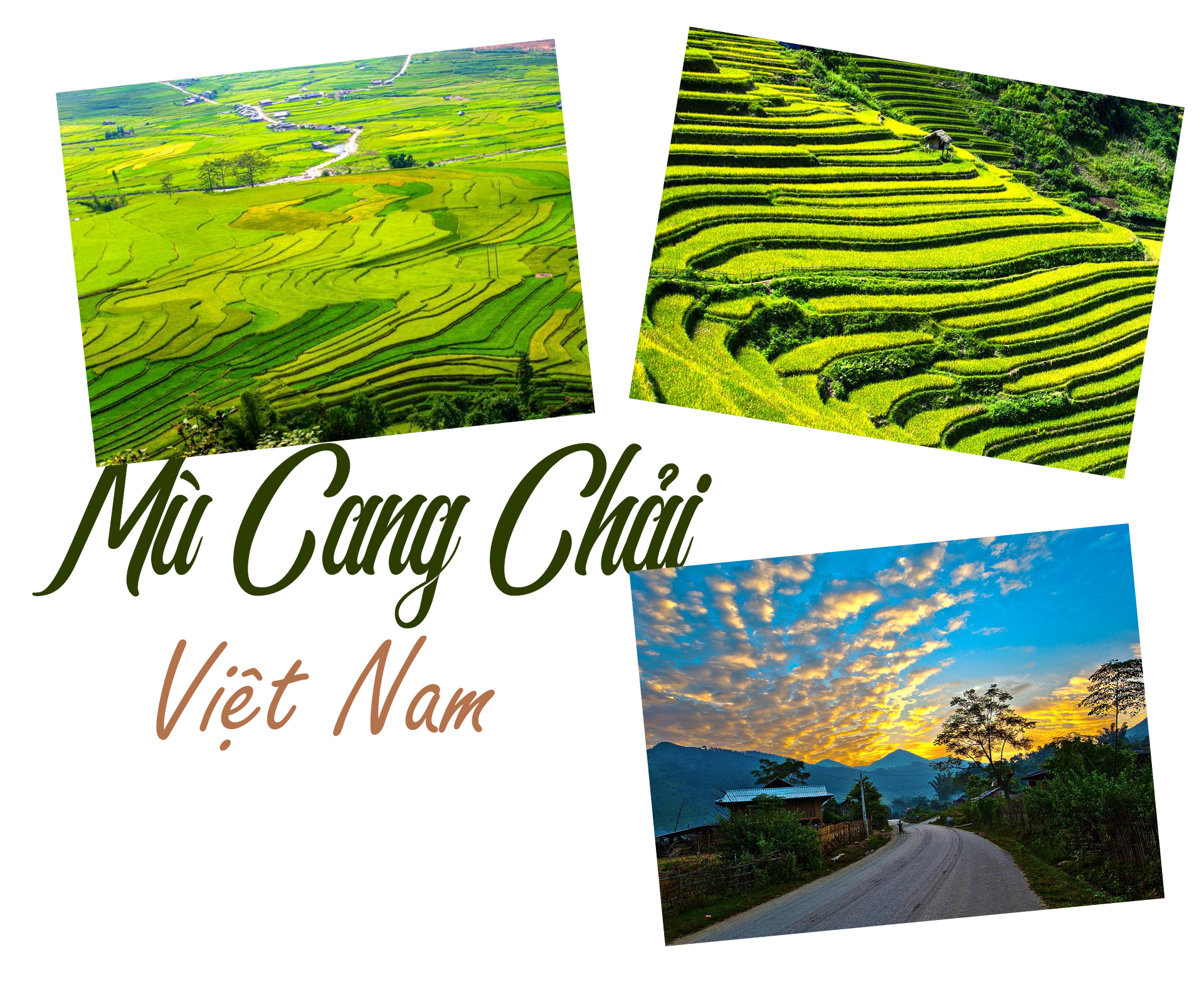 Việt Nam có tới 2 điểm đến lọt top những ruộng bậc thang đẹp nhất hành tinh - 3