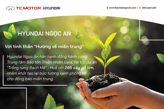 Hoạt động xã hội 2020 của Hyundai Ngọc An - 6