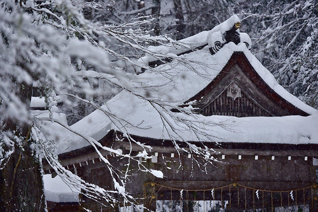 Chiêm ngưỡng vẻ đẹp mê hoặc trong tuyết của ngôi đền thần ở Nhật Bản - 1