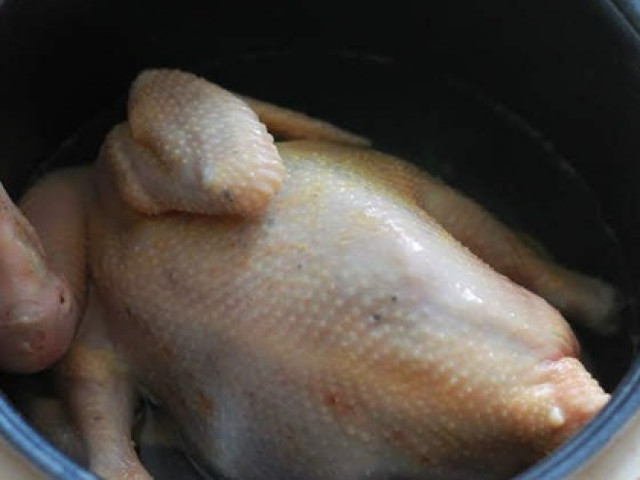 Ẩm thực - Luộc gà bằng nồi cơm điện, tưởng không được mà thành phẩm lại ngon không tưởng