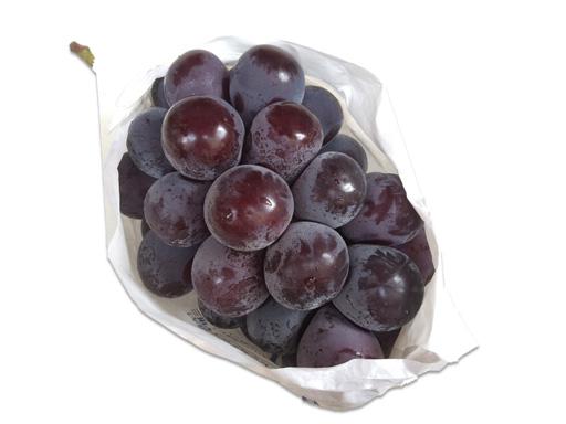 Theo tiết lộ của người trồng, nho Pione có độ ngon ngọt đặc biệt một phần là nhờ vào sự chênh lệch nhiệt độ đáng kể giữa ban ngày và buổi tối.