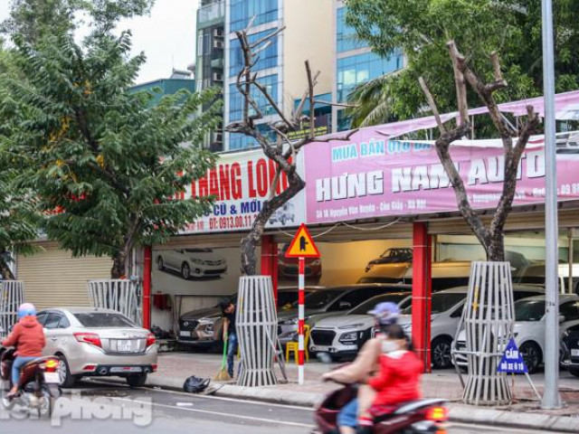 Tin tức trong ngày - Hàng cây sưa 'trăm tỷ' chết khô trên phố Hà Nội sẽ xử lý thế nào?
