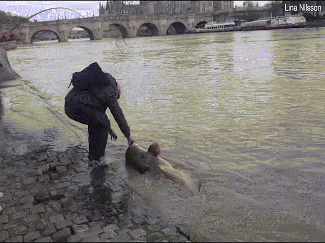 Phi thường - kỳ quặc - Video: Bắt được "quái vật hồ Loch Ness của sông Seine"