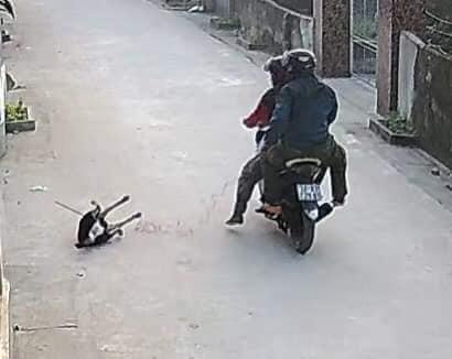 Hai thanh niên đi xe máy dùng súng điện bắn chó - Ảnh cắt từ clip